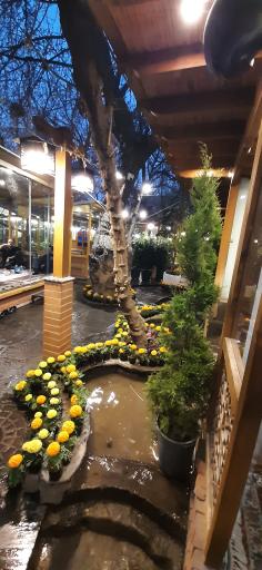 عکس باغ رستوران خانوادگی حسین