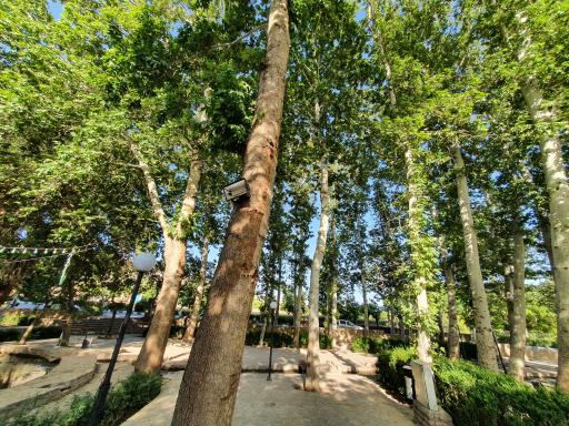 عکس بوستان همت آباد درود