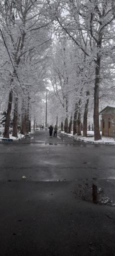 عکس پارک شهدای گمنام ماهدشت