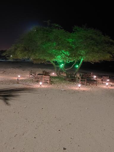 عکس کافه اغذیه سیمرغ