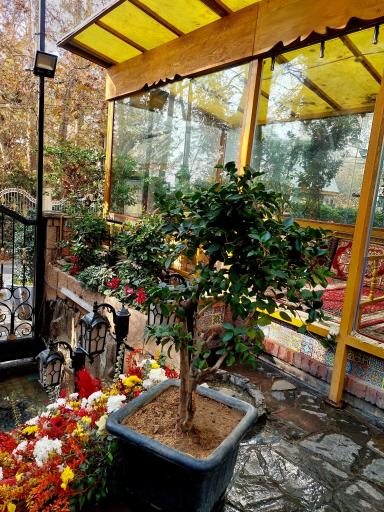 عکس باغ رستوران خانوادگی حسین