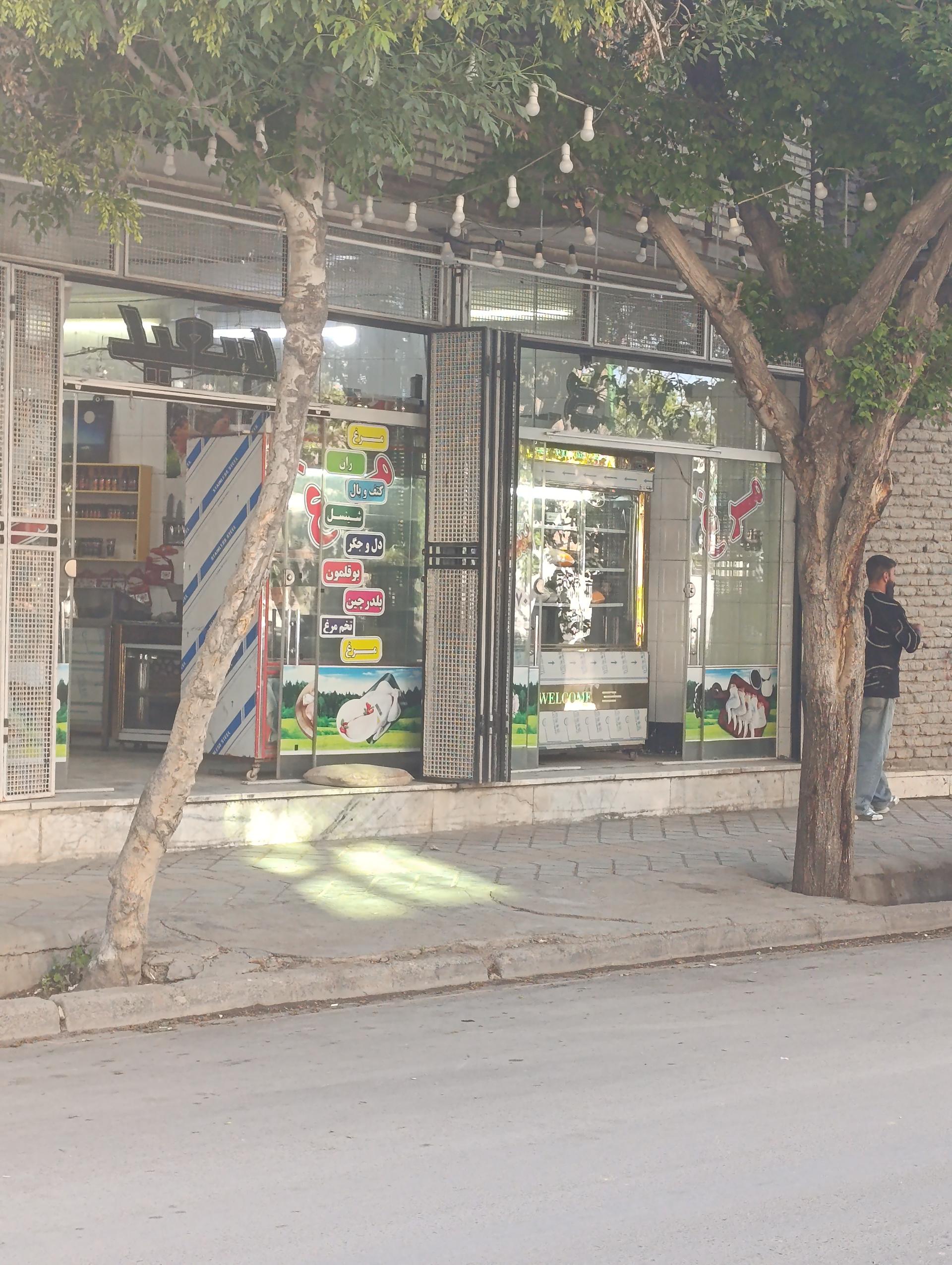 عکس مرغ سعید