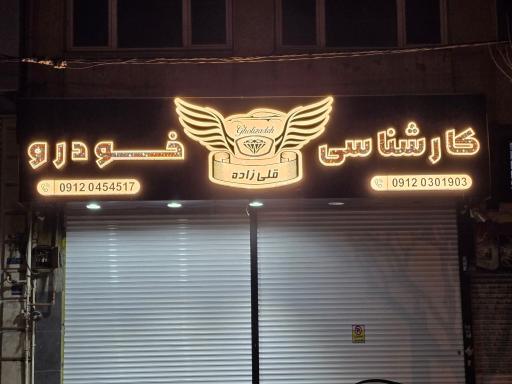 عکس کارشناسی و تشخیص رنگ خودرو قلیزاده
