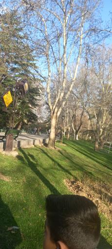 عکس حیات وحش بوستان ملت