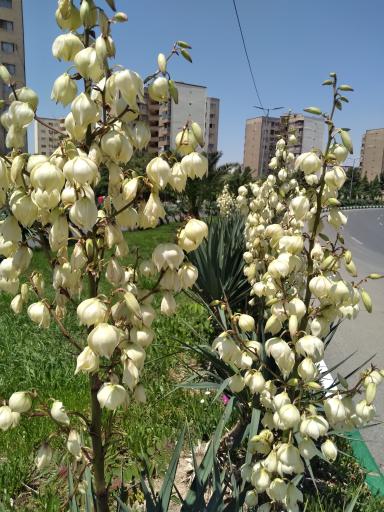 عکس شهرک شهید بهشتی