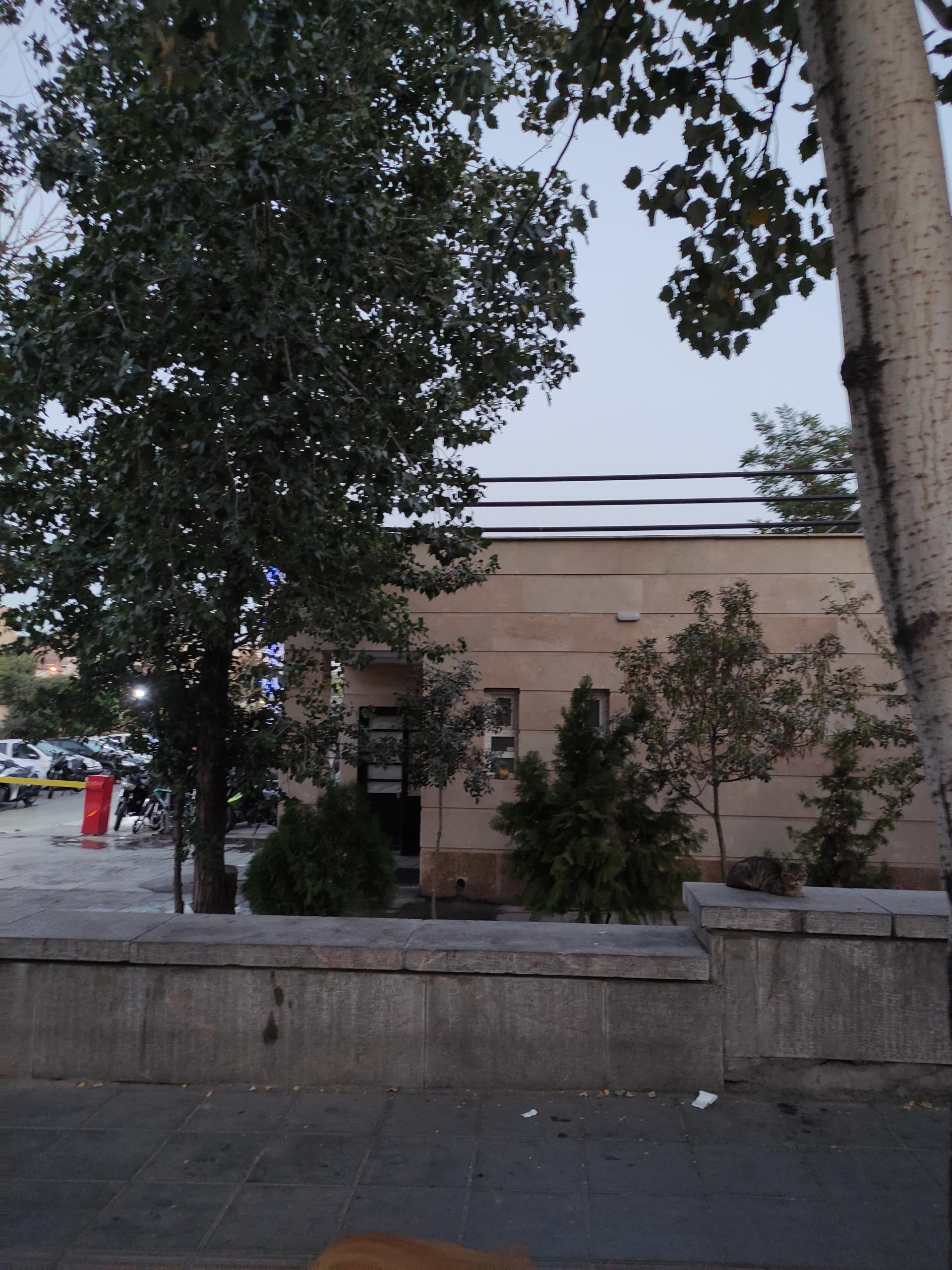 عکس پارک نقاش