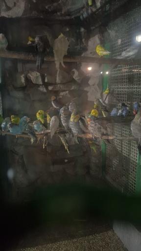 حیات وحش بوستان ملت