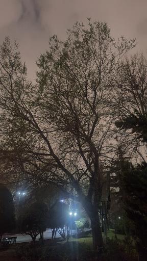 حیات وحش بوستان ملت