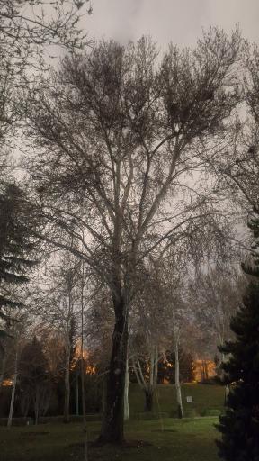 حیات وحش بوستان ملت