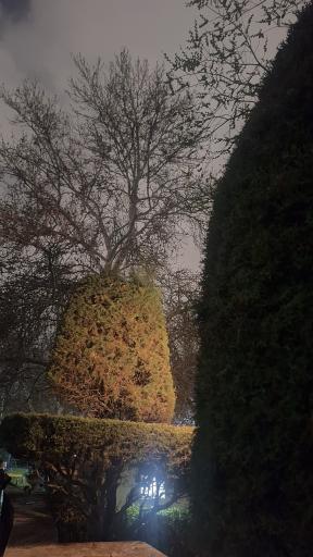 حیات وحش بوستان ملت