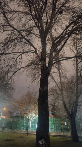 حیات وحش بوستان ملت