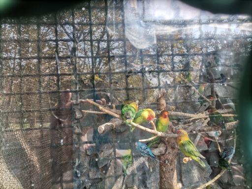 حیات وحش بوستان ملت