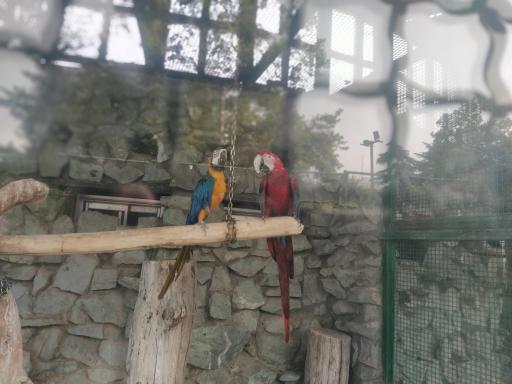 حیات وحش بوستان ملت