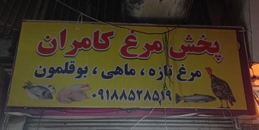 عکس پخش مرغ کامران 