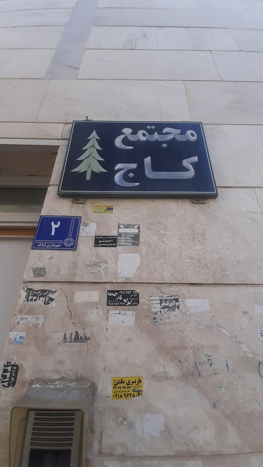 عکس مجتمع کاج