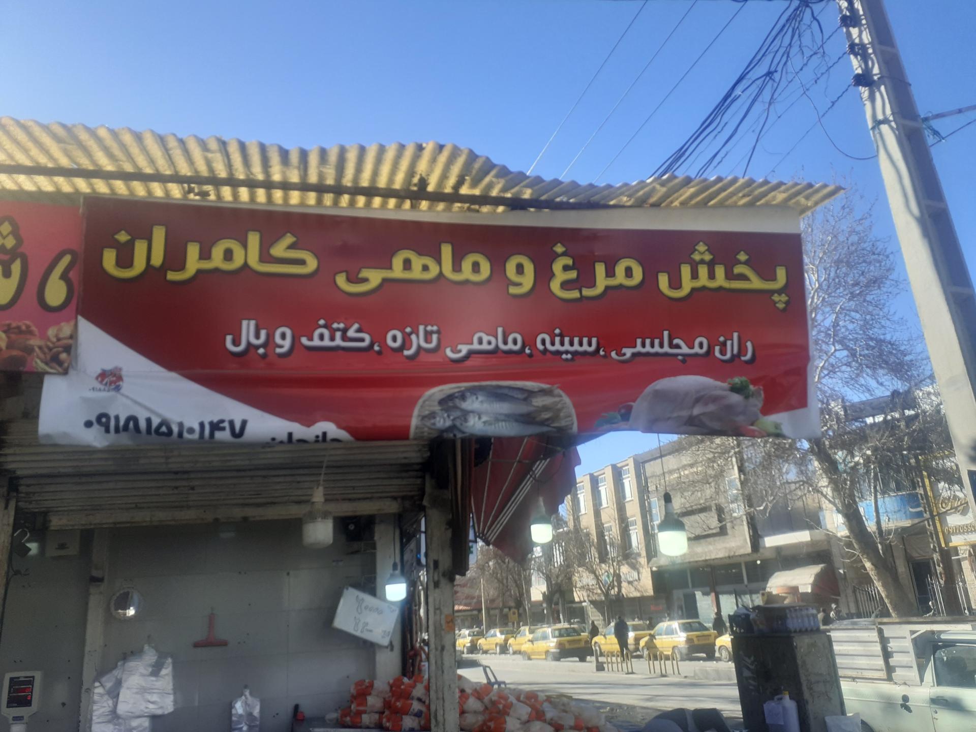 عکس پخش مرغ کامران 