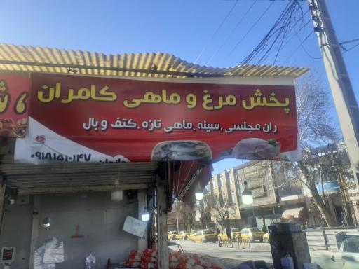 عکس پخش مرغ کامران 