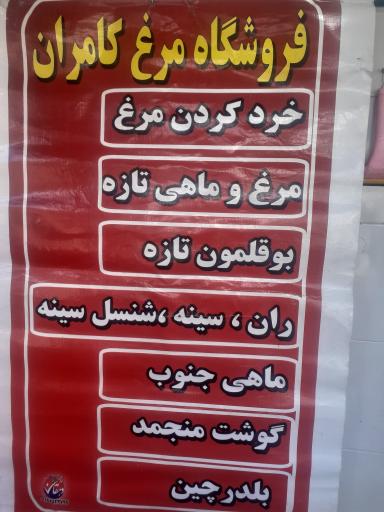 عکس پخش مرغ کامران 