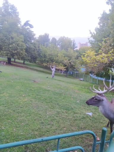 عکس حیات وحش بوستان ملت