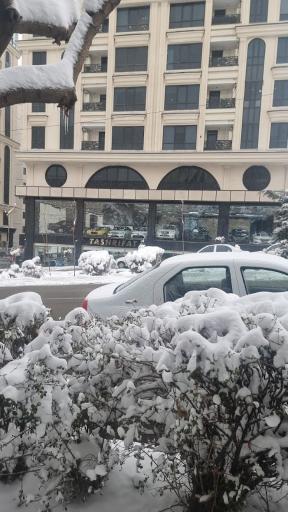 عکس اتو گالری تشریفات موتورز