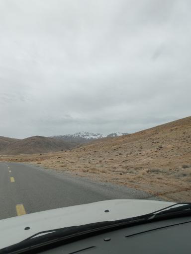 عکس دشت لاله های واژگون