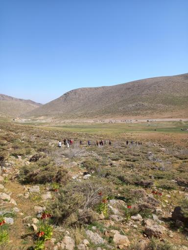 عکس دشت لاله های واژگون