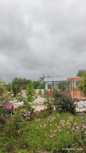 عکس باغ خوشبختی
