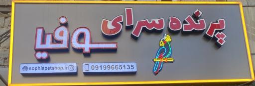 عکس سوفیا پت شاپ