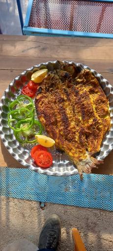 عکس کافه باغ سرو نقره‌ای 