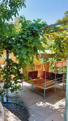 عکس کافه باغ سرو نقره‌ای 