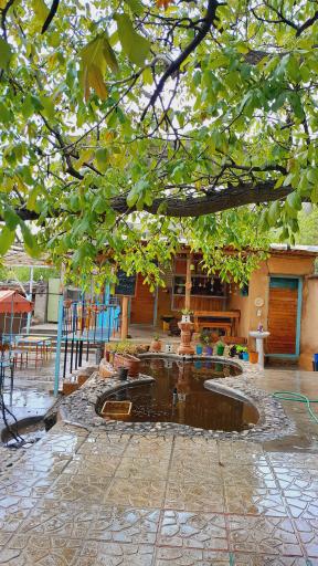 عکس کافه باغ سرو نقره‌ای 