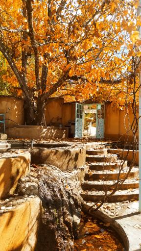 عکس کافه باغ سرو نقره‌ای 