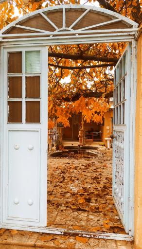 عکس کافه باغ سرو نقره‌ای 