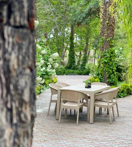 عکس فارست لانژ