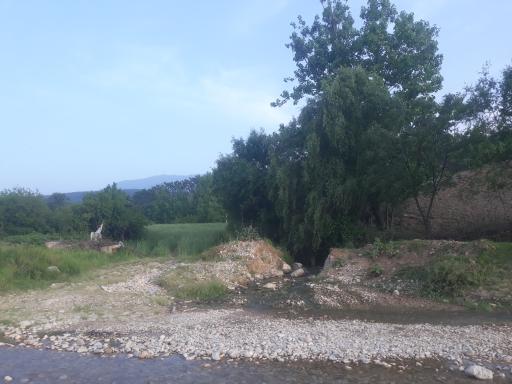 عکس سیدمیران