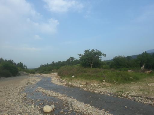 عکس سیدمیران