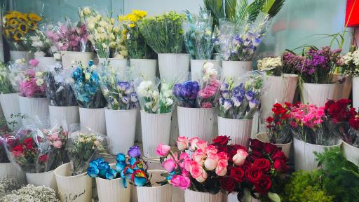 عکس گلسرای لیا