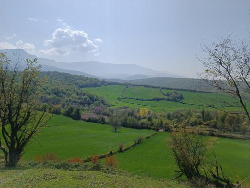 عکس سیدمیران