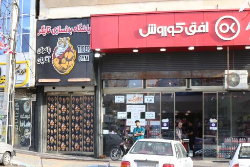 باشگاه بدنسازی تایگر