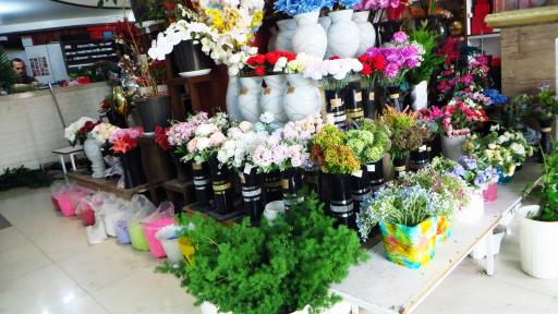 عکس گلسرای لیا