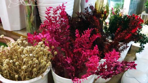 عکس گلسرای لیا