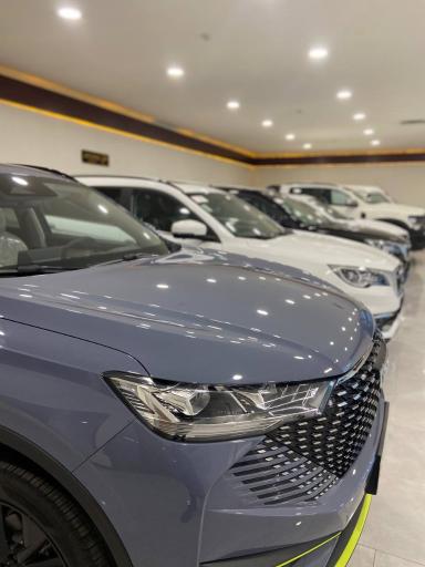 عکس نمایندگی 1015 گروه بهمن (مرادی)