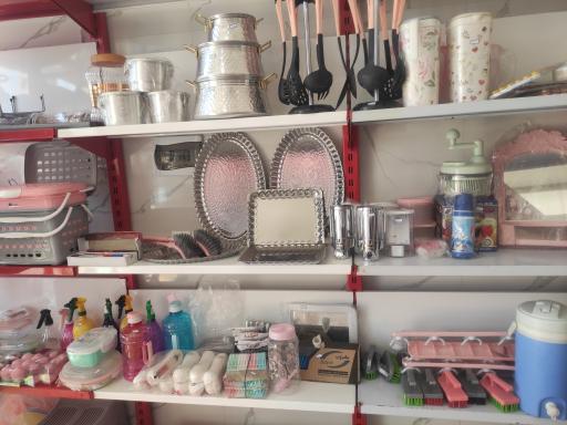 عکس پلاسکو و کادویی علی شعبه 2