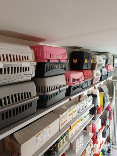 عکس فروشگاه لوازم حیوانات خانگی پتیم 