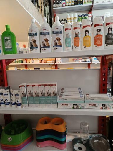 عکس فروشگاه لوازم حیوانات خانگی پتیم 