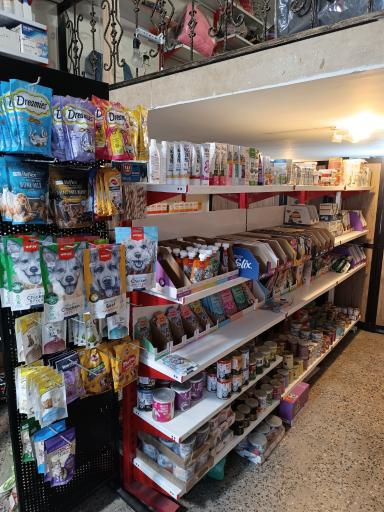 عکس فروشگاه لوازم حیوانات خانگی پتیم 