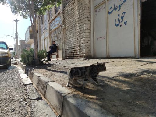 عکس صنایع چوبی برادران براتی