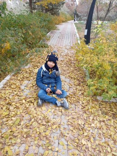 عکس پارک نگین