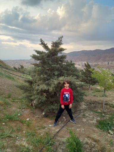 عکس پارک نگین