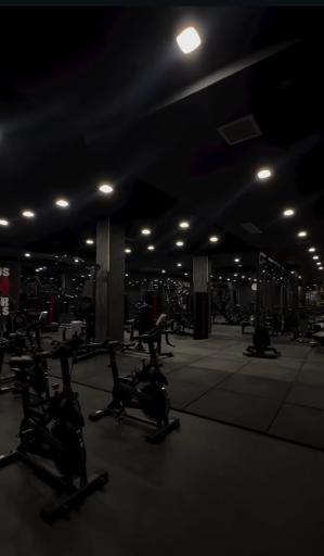 عکس باشگاه بدنسازی هنر بدن